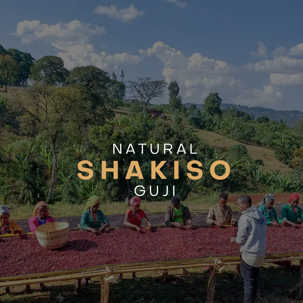 Vulcan Ethiopia - Shakiso