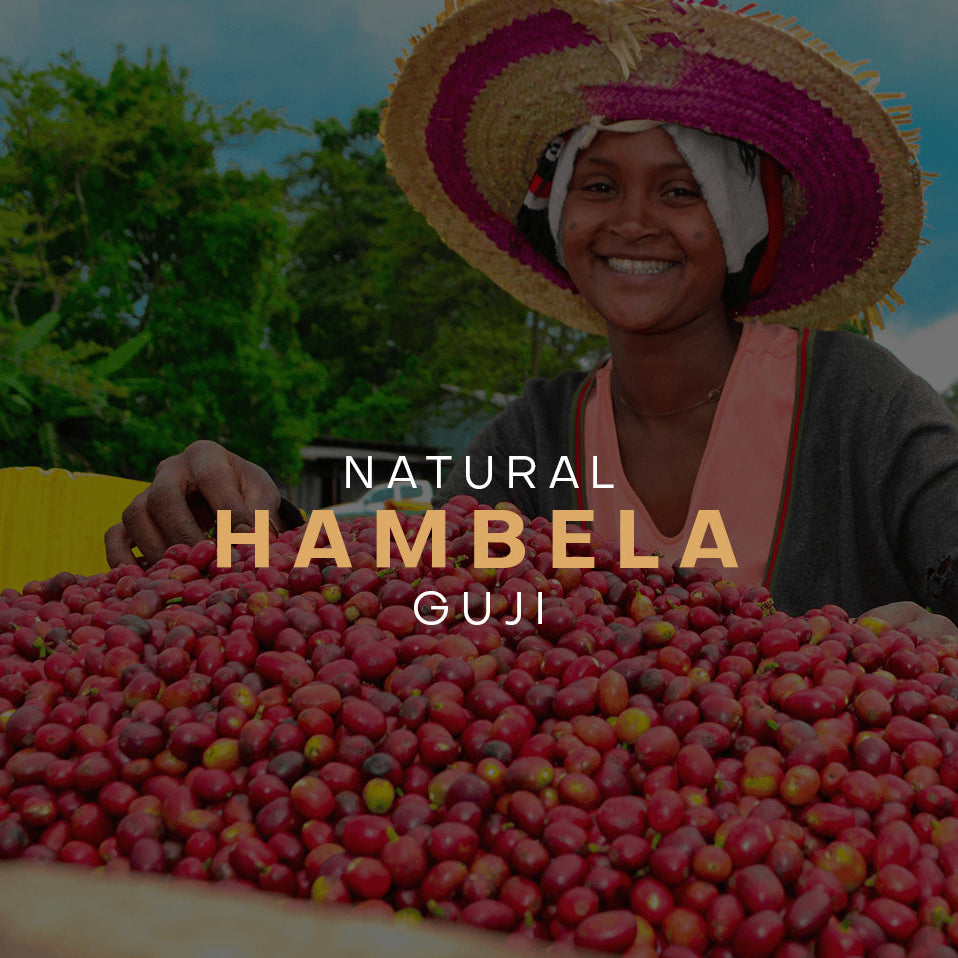 Ethiopia - Hambela (Vulcan)