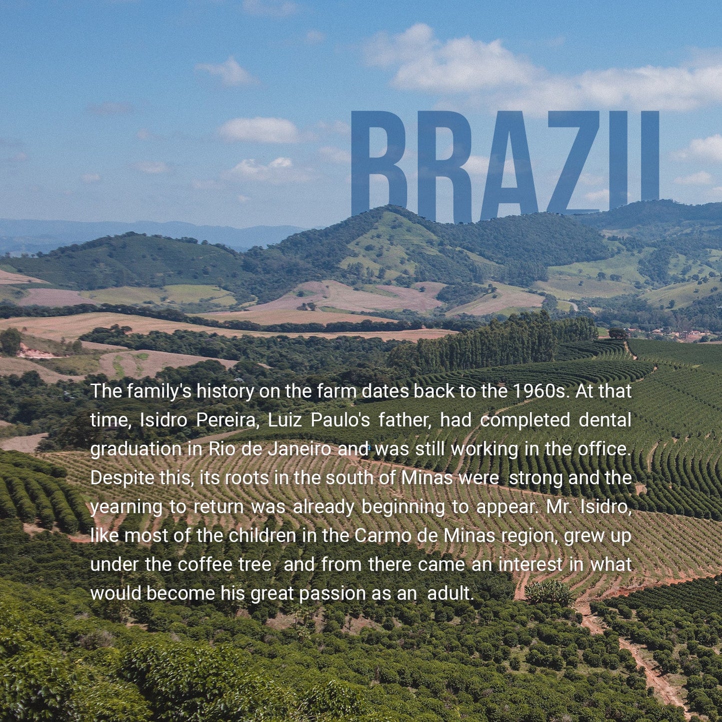 Vulcan Roastery - Fazenda IP Brazil