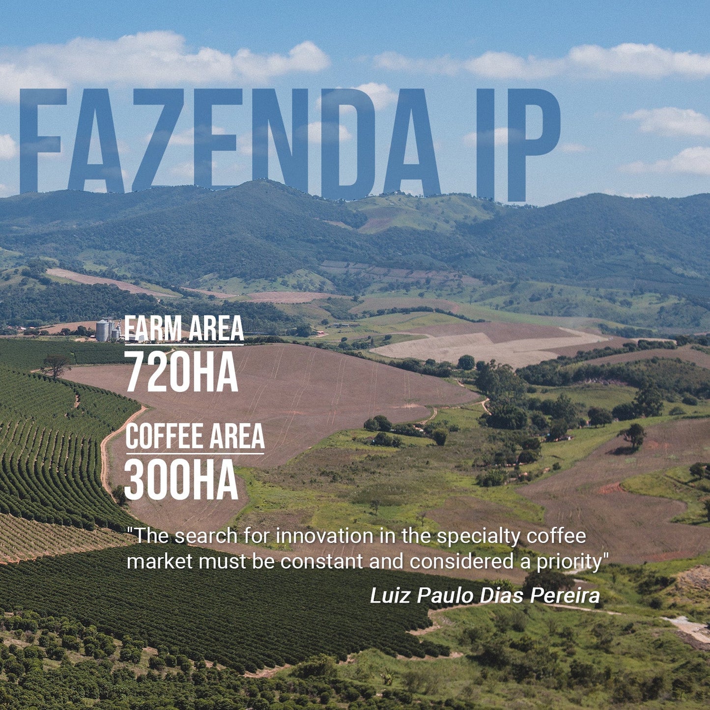 Vulcan Roastery - Fazenda IP Brazil