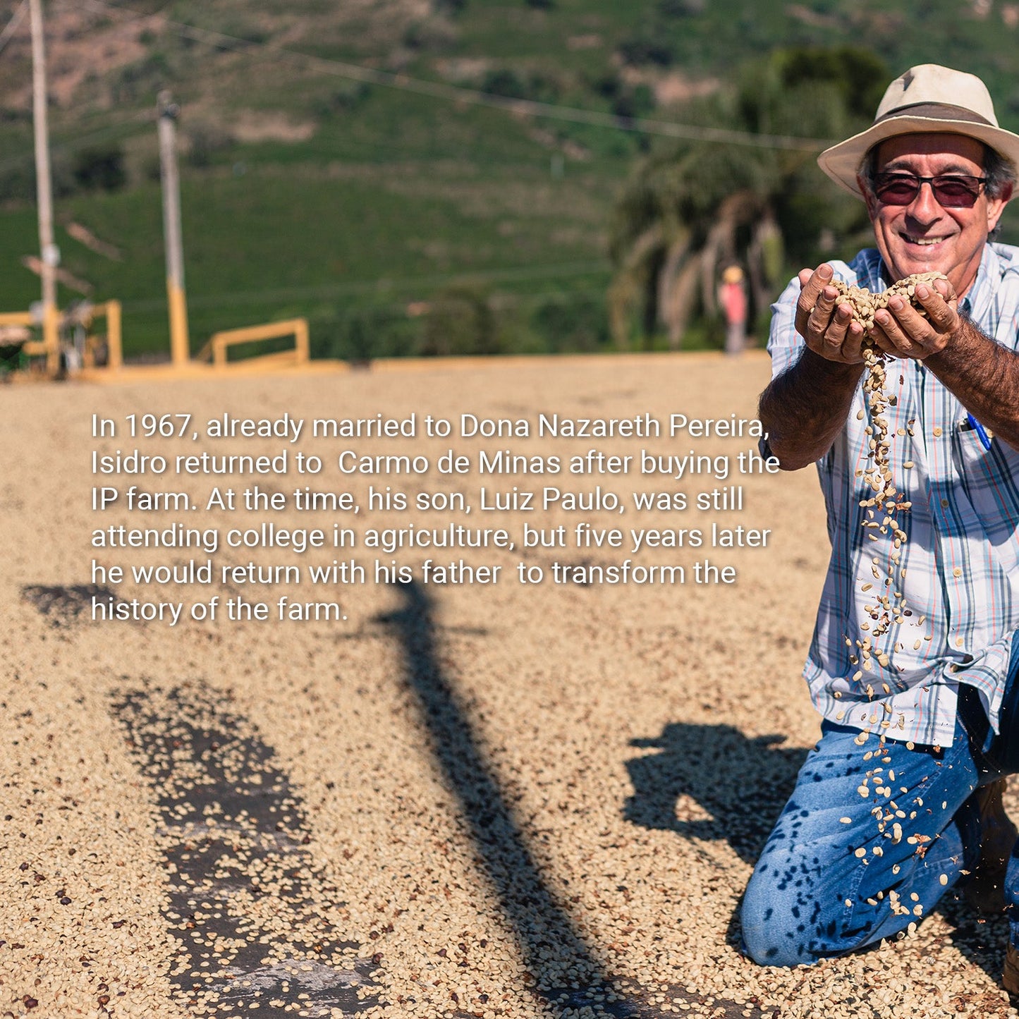 Brazil Fazenda IP (Vulcan)