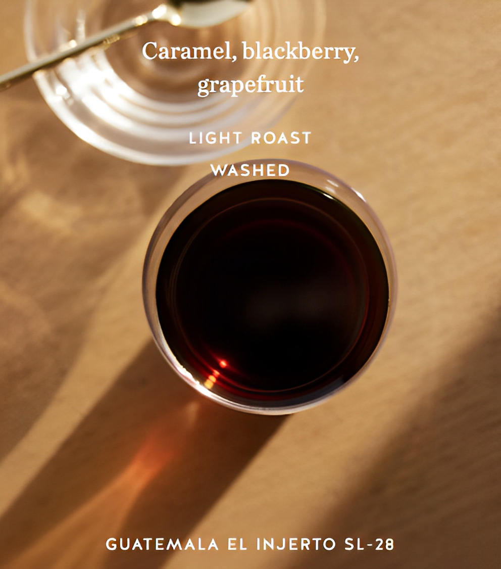Guatemala El Injerto SL-28 - Roasted Beans