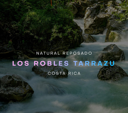 Costa Rica - Los Robles (Vulcan)