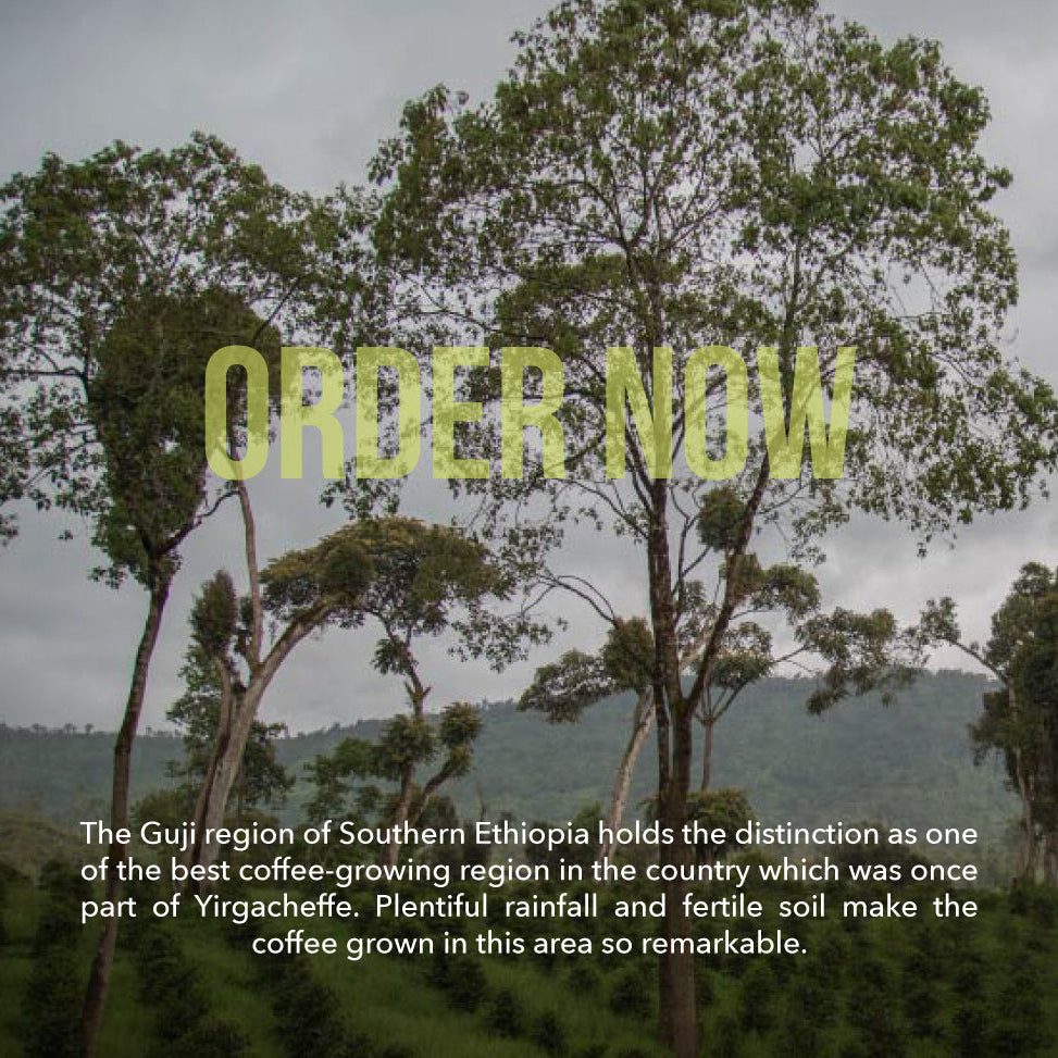 Ethiopia - Guji Uraga (Vulcan)