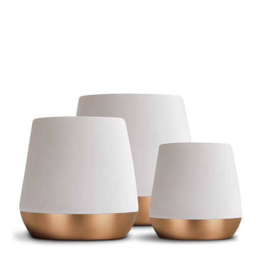 Fellow Joey - Double Wall Ceramic