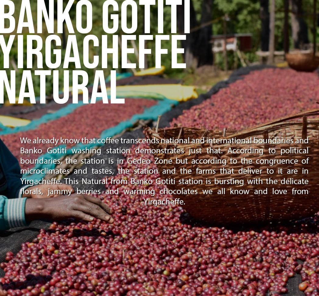 Vulcan Roastery - Ethiopia Banko Gotiti Natural