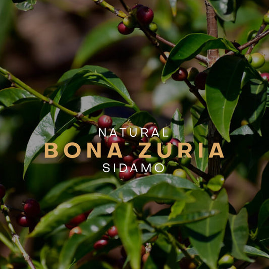 إثيوبيا – بونا زوريا – معالجة طبيعية (فولكان)