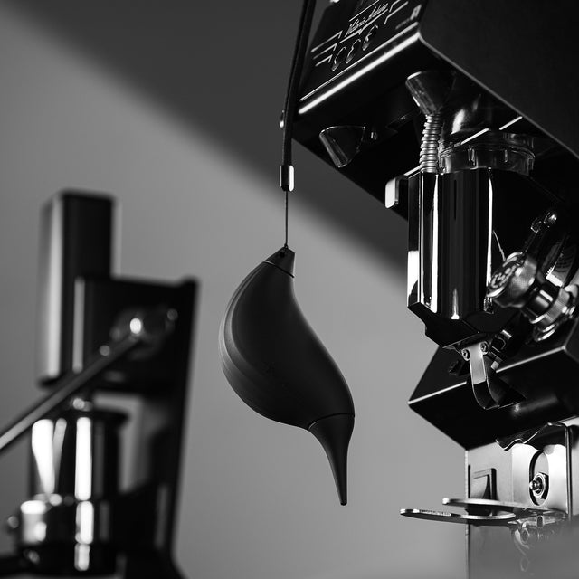 منفاخ الهواء بيرد