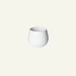 Loveramics - Brewers Series Tasting Cups