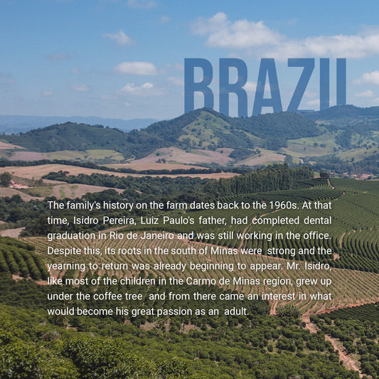 Brazil Fazenda IP (Vulcan)