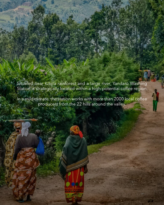 Burundi - Yandaro (Vulcan)