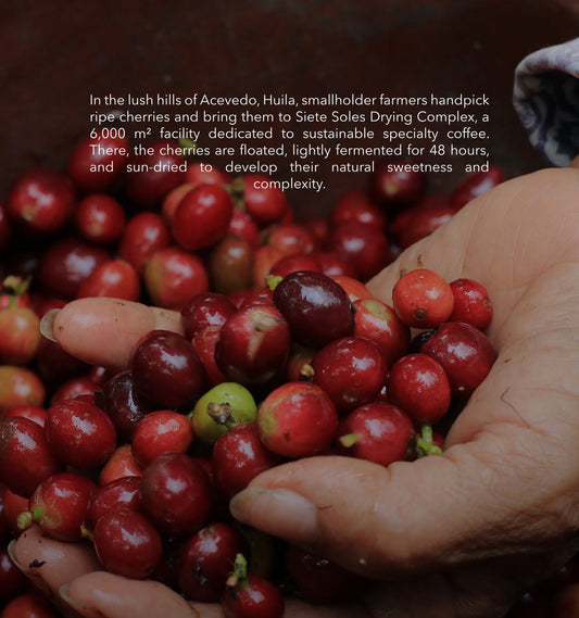 Vulcan Flor Del Desierto - Siete Soles