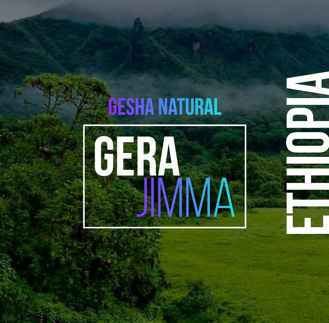 Gera Jimma - Gesha Natural (Vulcan)