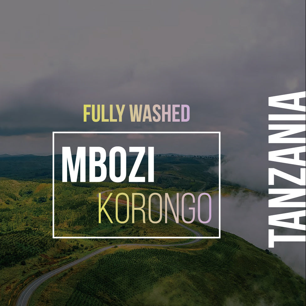 تنزانيا – كورونغو – معالجة مغسولة (فولكان)