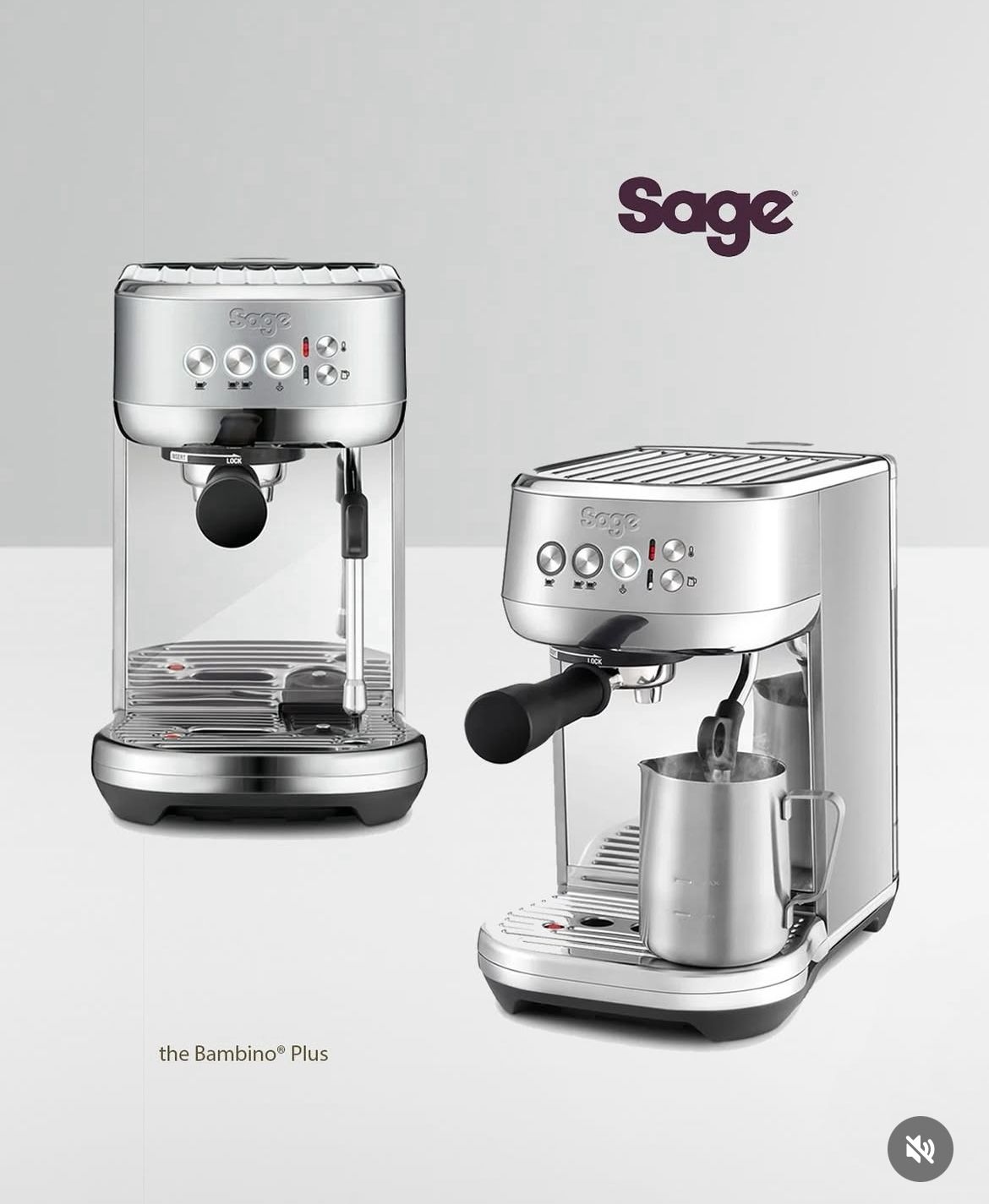 SAGE The Bambino Plus - Brushed Stainless Steel