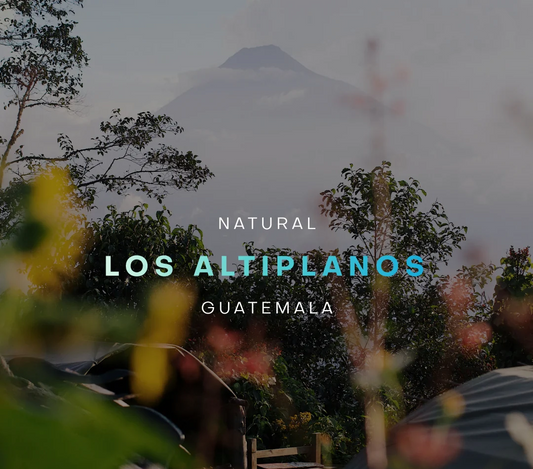 Guatemala - Los Altiplanos (Vulcan)