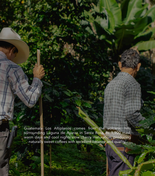 Guatemala - Los Altiplanos (Vulcan)
