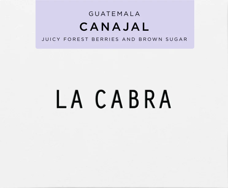 Guatemala Canajal - Roasted Beans
