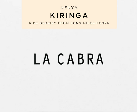 Kenya Kiringa - Roasted Beans