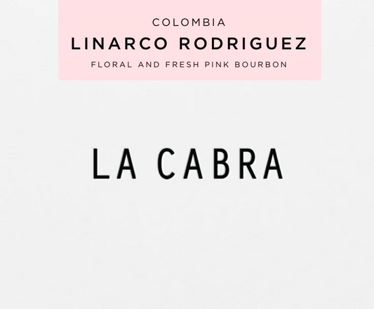 Colombia Linarco Rodriguez - Roasted Beans