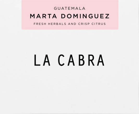 Guatemala Marta Dominguez - Roasted Beans